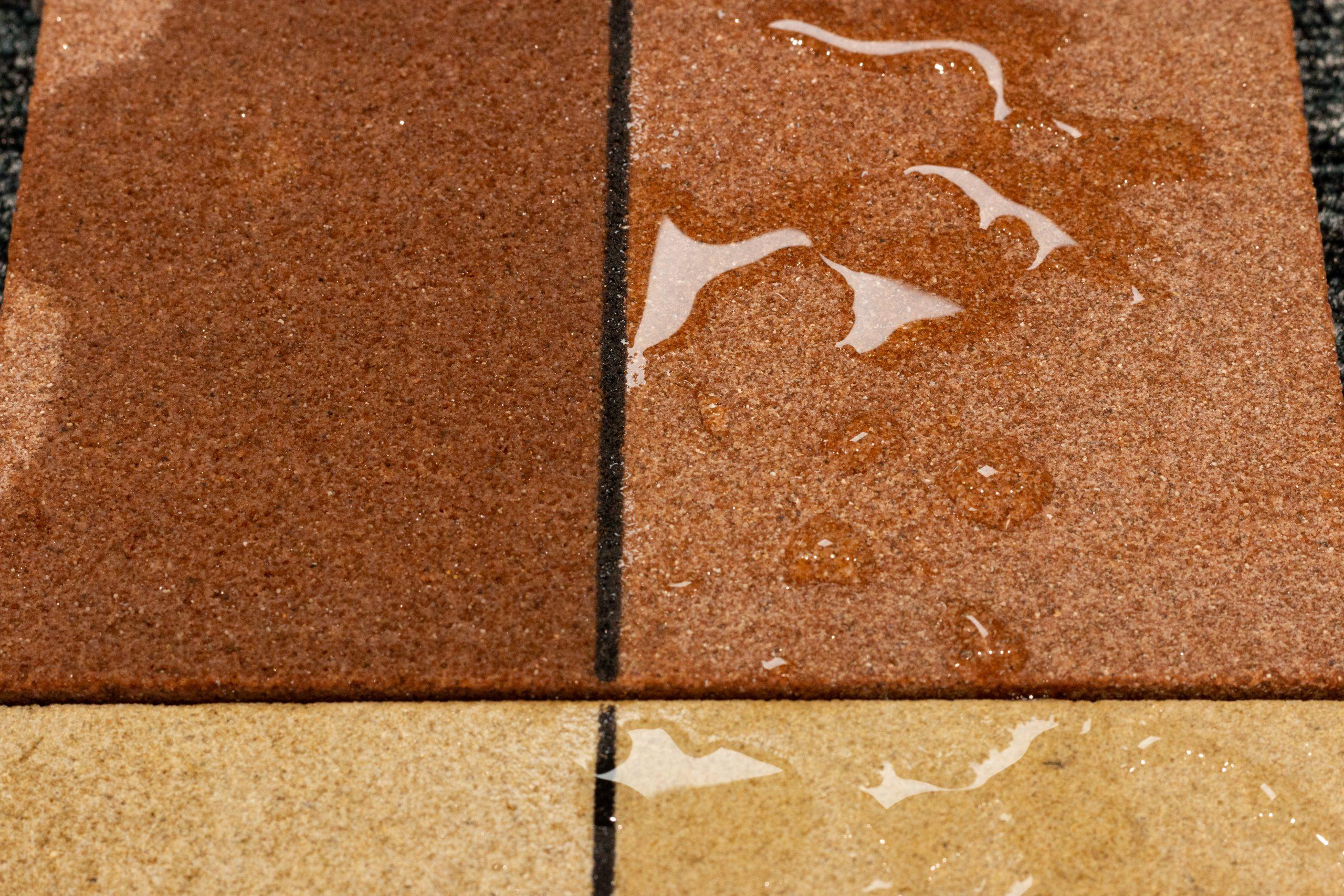 Sealed Sandstone Samples